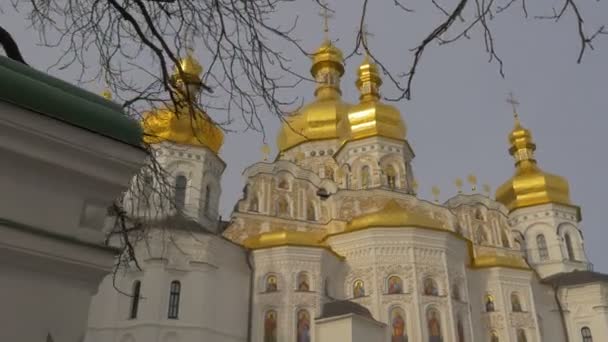 Brillante Chiesa Cupole dietro un albero Mura bianche e cupole d'oro Dormizione Cattedrale Santa Dormizione Kiev-Pechersk Lavra Ucraina Inverno Di giorno — Video Stock