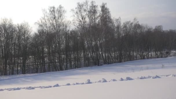 雪フォレスト グローブ冬の風景と太陽輝いて雲場所神聖な Michael 大天使 Pirogovo の教会の近くで覆われたフィールド — ストック動画