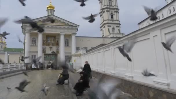 교회 Dormition Pochaiv Lavra 사람들의 거룩한 게이트에서 여자 승려 영토의 정교회 수도원 Pochaiv를 입구를 통해 걷고 있다 — 비디오