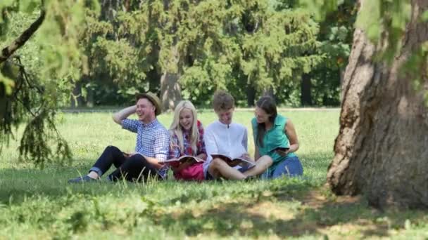 Le persone felici sedute sotto l'albero che studiano la lettura e ridono Le ragazze e i ragazzi si preparano agli esami al campus del Nature University College — Video Stock