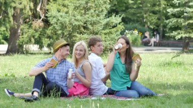 Young People Have Food and Drink on a Lawn Summer Sunny Day Sitting on a Green Grass in Park Teenagers Eating Sandwiches at the Nature Friends Couples