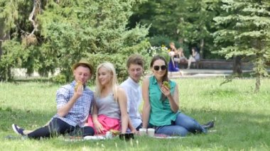 Young People Have Picnic on a Lawn Talking Smiling Sitting on a Green Grass in Park Teenagers Have Food at the Nature Friends Couples in Sunny Summer Day