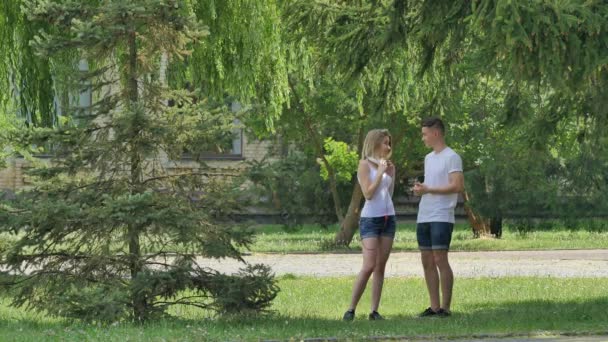 Les jeunes debout marchant par pelouse Les adolescents fréquentent passer du temps ensemble à la nature sur une prairie à l'extérieur du vieux bâtiment Arbres verts Sapin Journée ensoleillée — Video