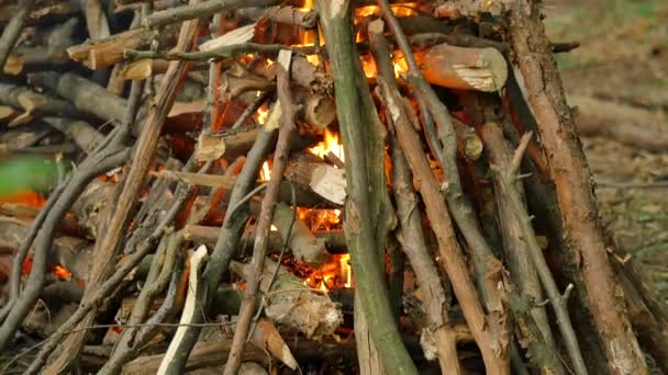 Vuur is Burning roken Raising Ivan Kupala heidense Festival mannen en vrouwen gaan vieren Kupala nacht in Forest Green bomen zijn rond zomerdag — Stockvideo