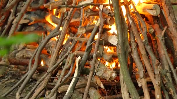 男の手は火イワン Kupala 異教祭男性に、薪を置くし、Kupala 夜の森の緑の木々 は周辺夏の日を祝うために女性がいます。 — ストック動画