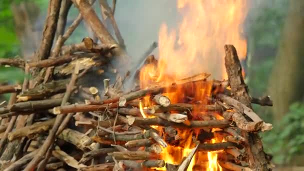 El fuego está quemando gente en el festival pagano Ivan Kupala Hombres y mujeres van a celebrar la noche de Kupala en el bosque Los árboles verdes están alrededor del día de verano — Vídeos de Stock