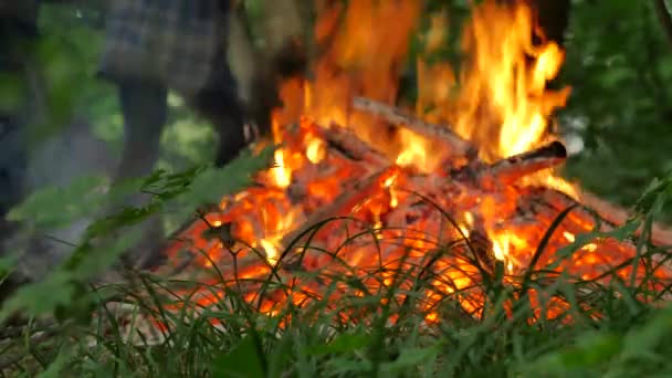 Άνθρωποι γύρω από τη φωτιά και λευκό κάρβουνα φωτιών καύσης μεταξύ πράσινο γρασίδι, προετοιμασία για την ιεροτελεστία του περπατήματος στο ειδωλολατρικό φεστιβάλ κάρβουνα Ιβάν Kupala καλοκαιρινό σούρουπο — Αρχείο Βίντεο