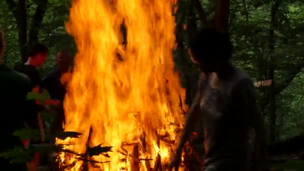 Mensen dansen Roundelay rond het vuur heidense Festival van Ivan Kupala Kiev brand aanmaakhout mannen en vrouwen silhouetten viering in Forest groene bomen — Stockvideo