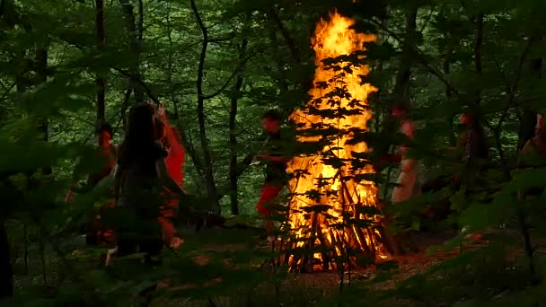 Les gens ArXoFire Roundelay Ivan Kupala Pagan Festival Kiev Les hommes et les femmes vont célébrer la nuit de Kupala dans la forêt Les arbres verts sont autour du jour d'été — Video