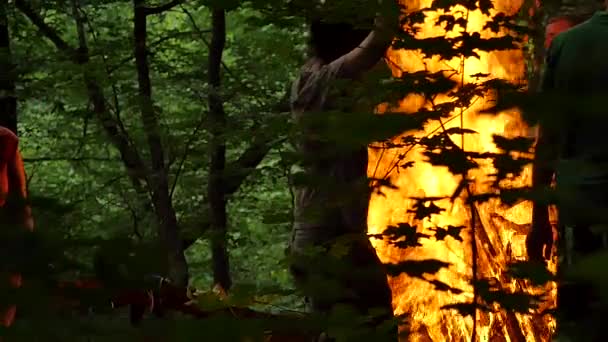 Silhuetter dansar runt brand Kiev Ivan Kupala Pagan Festival i en skymning män och kvinnor kommer att fira Kupala natt i skogen gröna träd är runt — Stockvideo