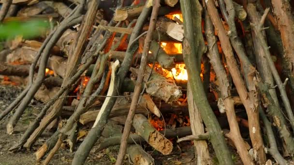 Mann legt ein Feuerholz in Feuer ivan kupala heidnischen Fest kiev Männer und Frauen werden kupala Nacht im Wald feiern grüne Bäume sind um den Sommertag — Stockvideo