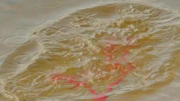 Красные бусины падают в жидкую воду реки Сэнди Дно лета Солнечный день Разочарование Печаль Печаль Ожерелье отчаяния лежит в реке — стоковое видео