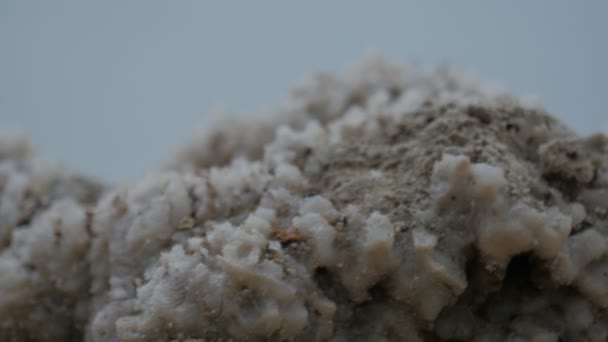 Piedra porosa del mar Pieza de roca en el mar Pumice en el banco Agujeros nublados del día Poros en un pedazo esponjoso de olas de piedra en un mar en un fondo Surf — Vídeos de Stock