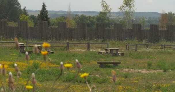 กําแพงป้อมปราการจากบันทึก, ดอกไม้สนามสีเหลืองบนพื้นหน้า, คีวานรัสเซีย, 11 ศตวรรษ, การก่อสร้าง, โครงสร้างไม้โบราณ — วีดีโอสต็อก