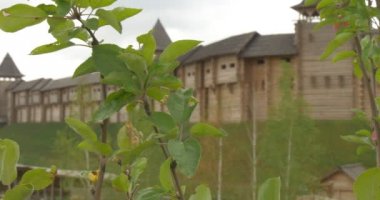 Üç Kırmızı Elma ile Elma Ağacı Dalları Closeup, Antik Ahşap Yapılar 10-11 Yüzyıllar, Kiev Russ, Rekonstrüksiyon