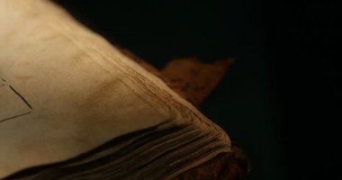 Kiev-Pecherska Lavra Eski-Slav Tarzı Gravürler Yazma Eski Kitap Paterik Kitap Sayfaları Dönüm Aziz Rahipler In Hayatından Episodes