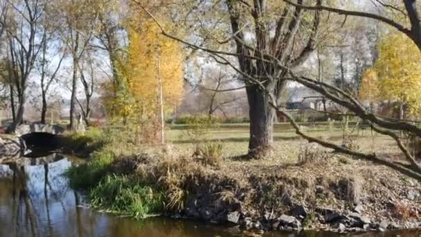 Solig höstdag se floden gula blad lögnen på vattnet i fjärran simmar i båt fisherman — Stockvideo
