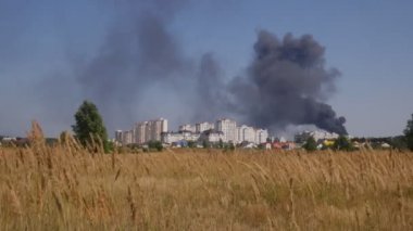 Çim Sways Rüzgar karşı gökyüzü bulutlar siyah içinde güneşli gün duman