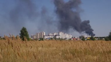 Sky duman bukleler sallanan karşı alanında sonbahar kulakları rüzgarda içinde
