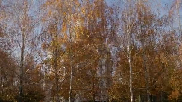 运动摄像机在发生秋公园可见东正教教堂钟楼在下午 — 图库视频影像