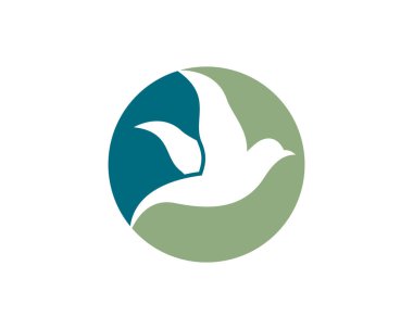 Dove Logo Şablonu vektör resimleme tasarımı