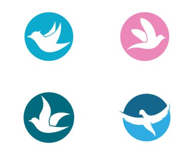 Dove Logo Şablonu vektör resimleme tasarımı
