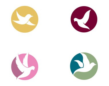 Dove Logo Şablonu vektör resimleme tasarımı