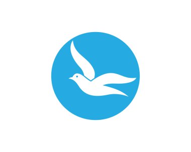 Dove Logo Şablonu vektör resimleme tasarımı