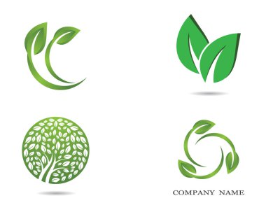 Yeşil yapraklı ekoloji doğa element ikonu logoları