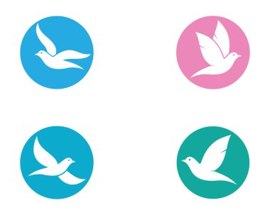 Dove Logo Şablonu vektör resimleme tasarımı