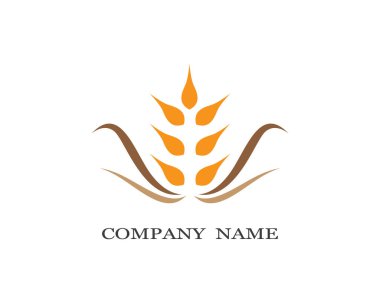 Tarım buğday logosu vektör ikonu tasarımı