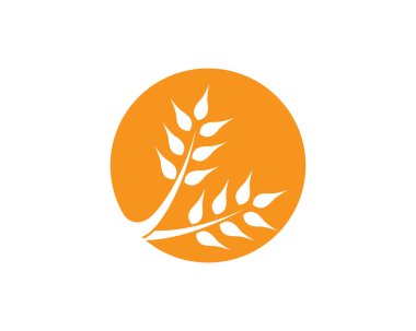 Tarım buğday logosu vektör ikonu tasarımı