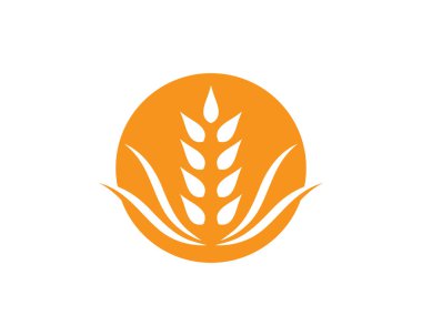 Tarım buğday logosu vektör ikonu tasarımı