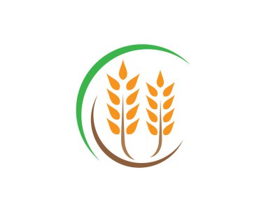 Tarım buğday logosu vektör ikonu tasarımı