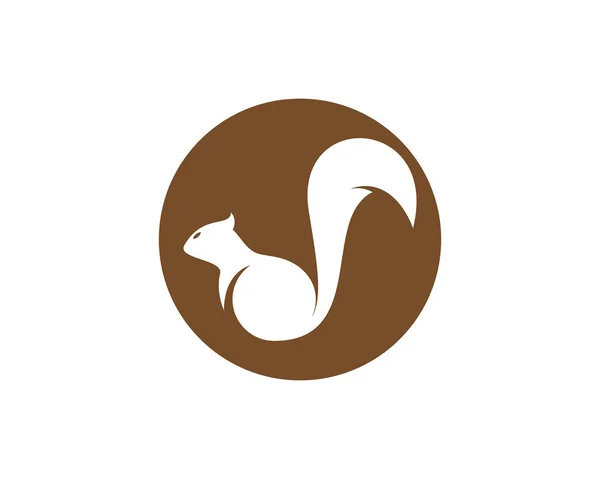 Eekhoorn Logo Template Vector Pictogram Illustratie Ontwerp — Stockvector