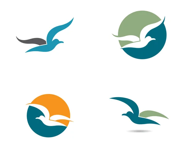 Modelo Logotipo Gaivota Ícone Vetor Ilustração Design —  Vetores de Stock
