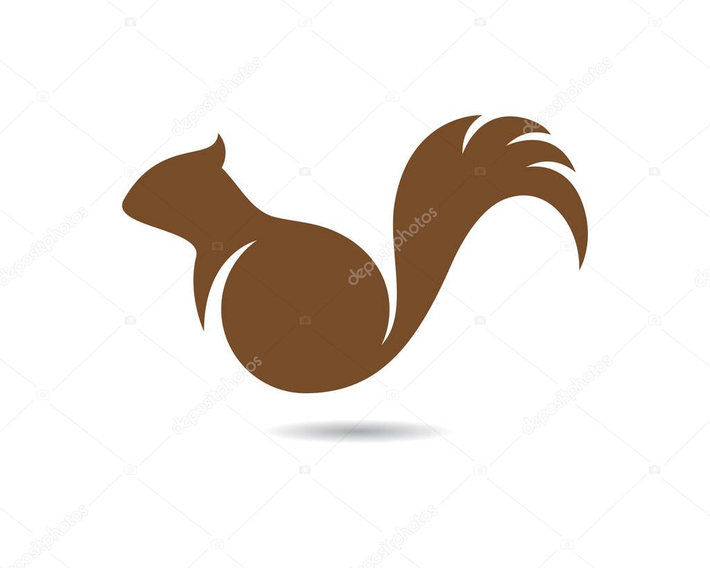 Squirrel logo template vector icon illustration design