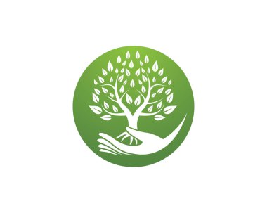 Ağaç logosu şablon vektör illüstrasyon tasarımı