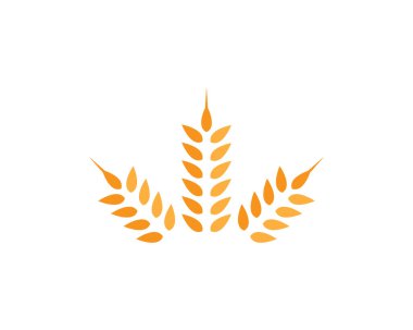 Tarım buğday logosu vektör ikonu tasarımı