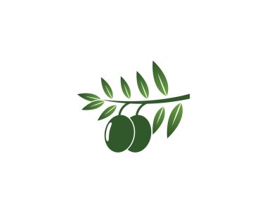 Zeytin yağı logo vektör çizimi tasarımı