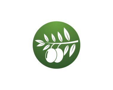 Zeytin yağı logo vektör çizimi tasarımı