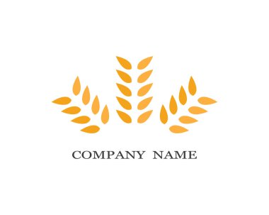 Tarım buğday logosu vektör ikonu tasarımı