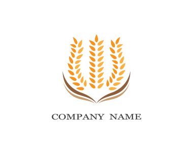 Tarım buğday logosu vektör ikonu tasarımı