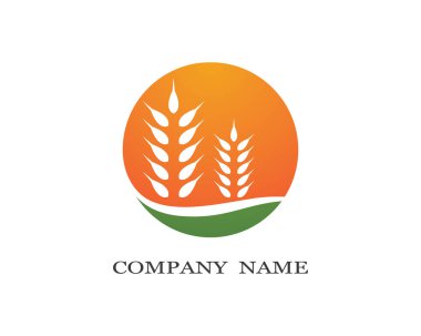 Tarım buğday logosu vektör ikonu tasarımı 
