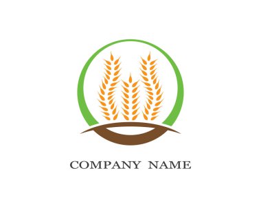 Tarım buğday logosu vektör ikonu tasarımı