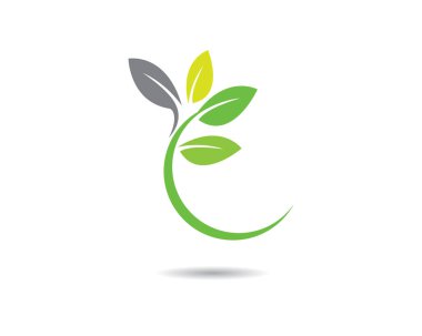 Yeşil yapraklı ekoloji doğa element ikonu logoları