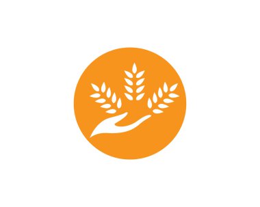 Tarım buğday logosu vektör ikonu tasarımı