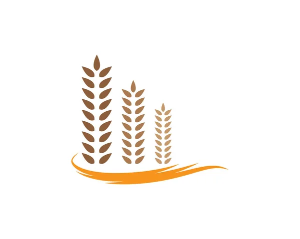 Agricultura Trigo Logotipo Plantilla Vector Icono Diseño — Archivo Imágenes Vectoriales