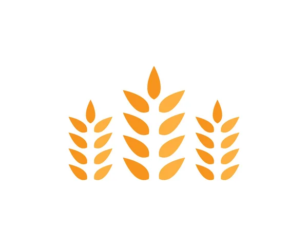 农业小麦标识模板矢量图标设计 — 图库矢量图片