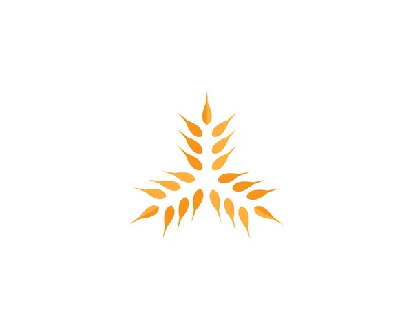 Σχεδιασμός Εικονιδίου Φορέα Λογότυπου Γεωργικού Σιταριού — Διανυσματικό Αρχείο